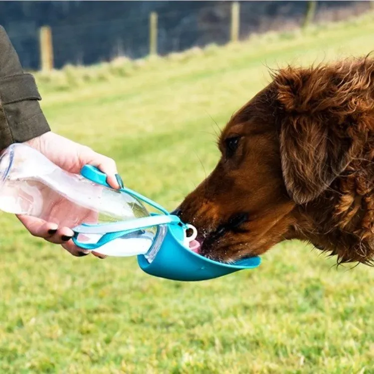 Henry Wag Water Bottle with Leaf Bowl Blue