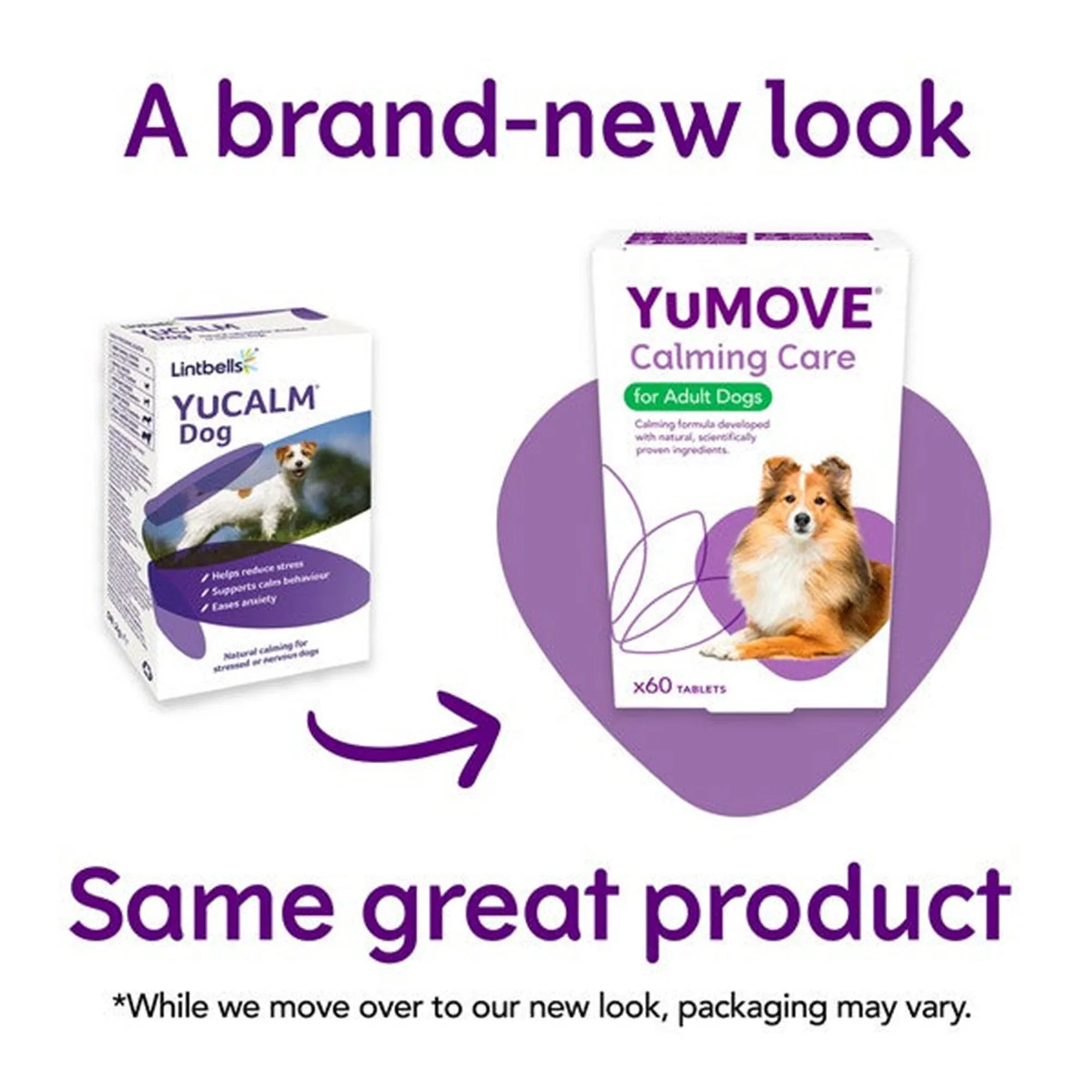 Lintbells YuMOVE Calming Care Dog Supplement