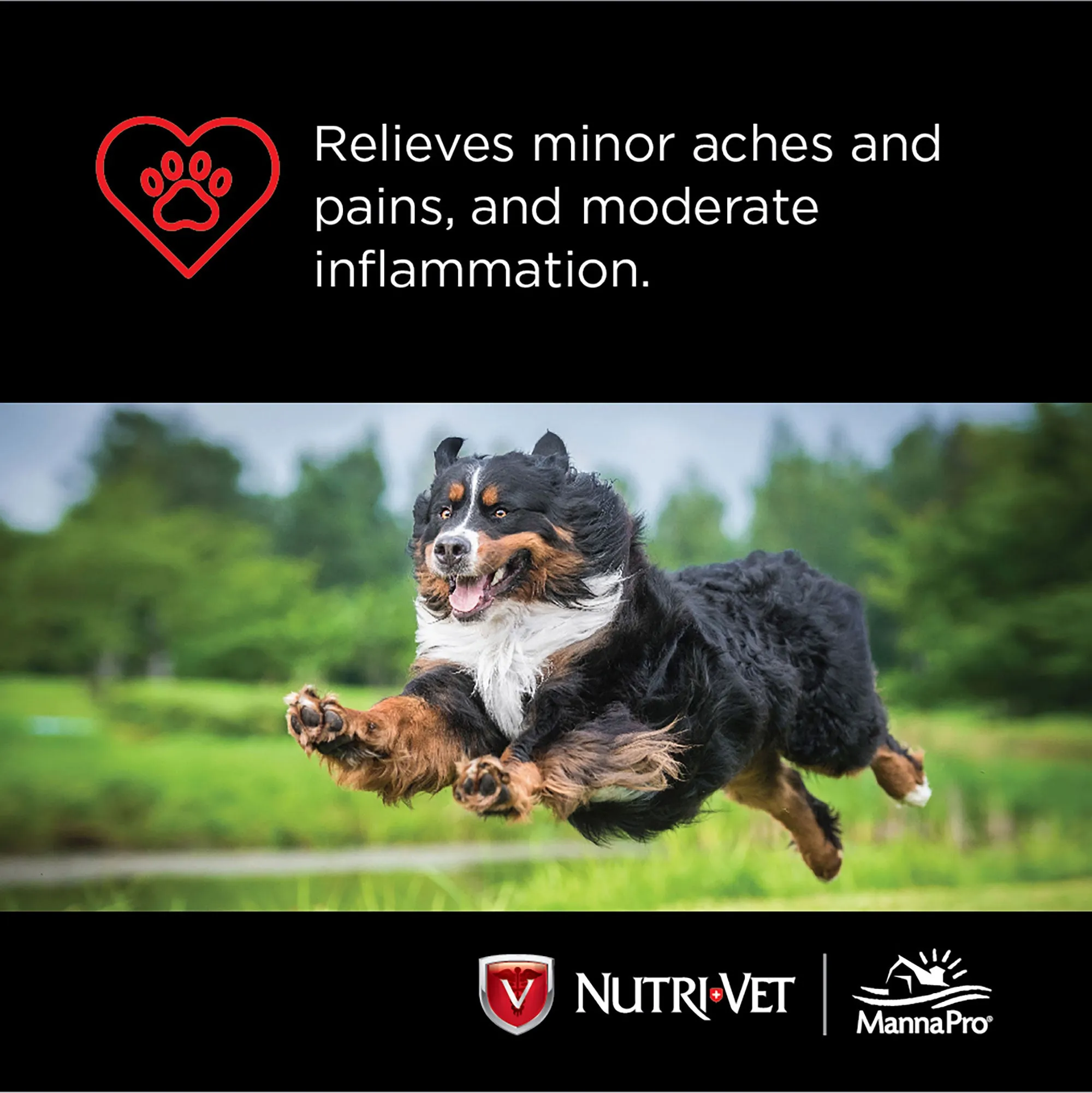 Nutri-Vet 120MG Aspirin For Dogs 100 Count