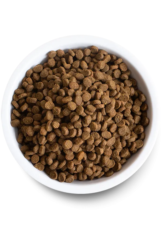 Open Wild-Caught Salmon Dry Cat Food