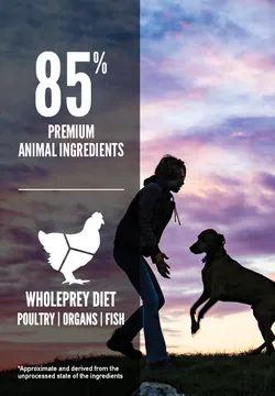 Orijen Puppy Large Breed Grain-Free Dry Dog Food