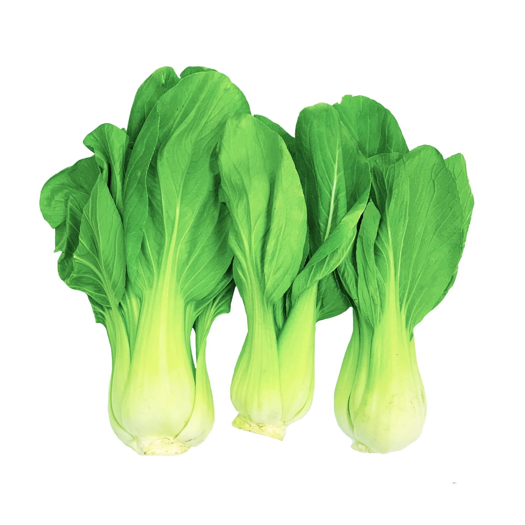 Shanghai Pak Choi 500g