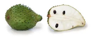 Soursop Small 400g-600g