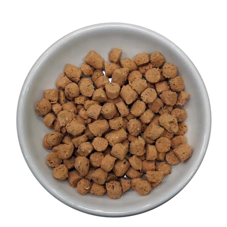 Steve's Real Food Frozen Raw Quest Nuggets Cat Food Pork, 2 lbs