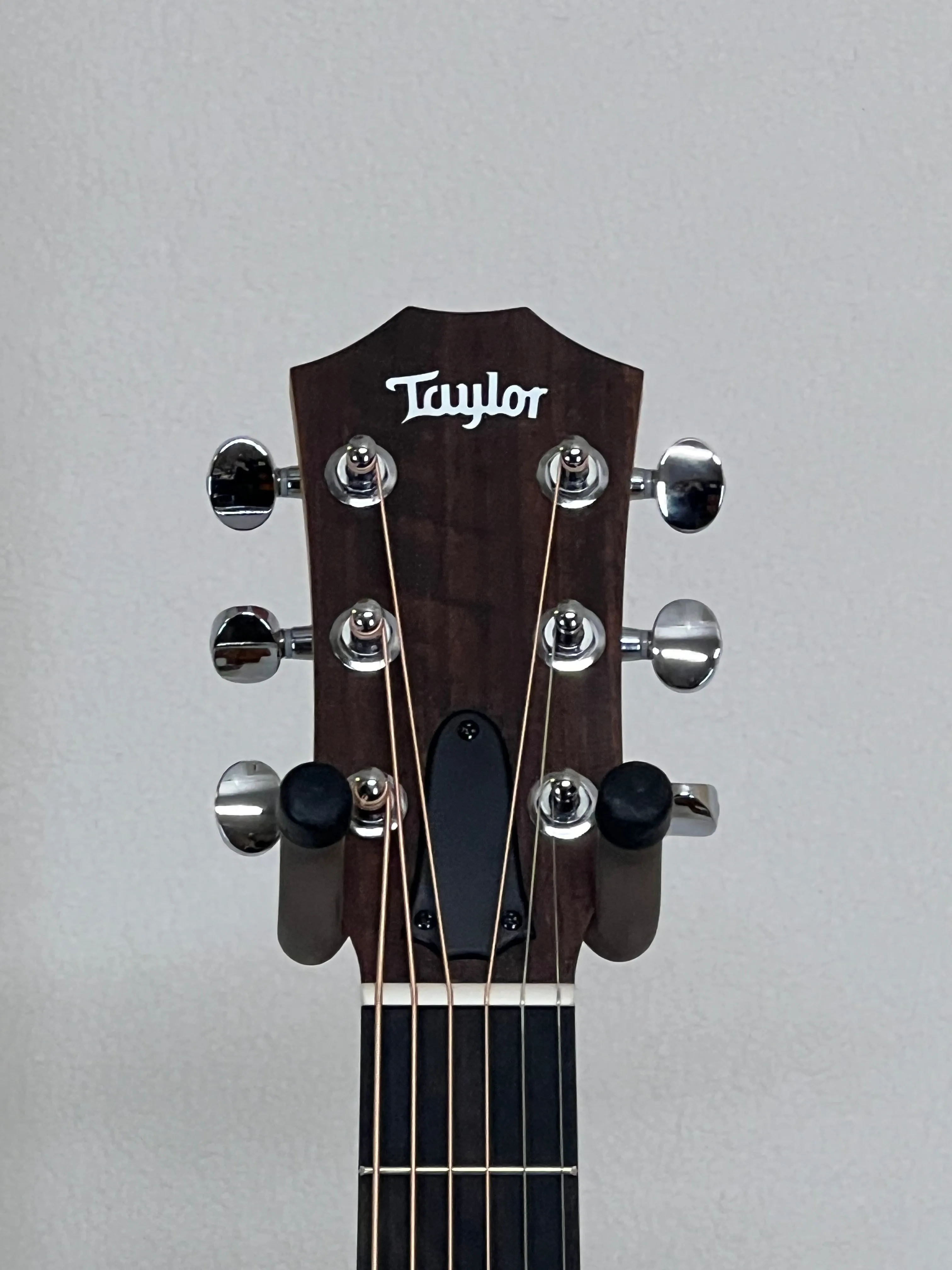 Taylor GS Mini Mahogany SN:2201254184