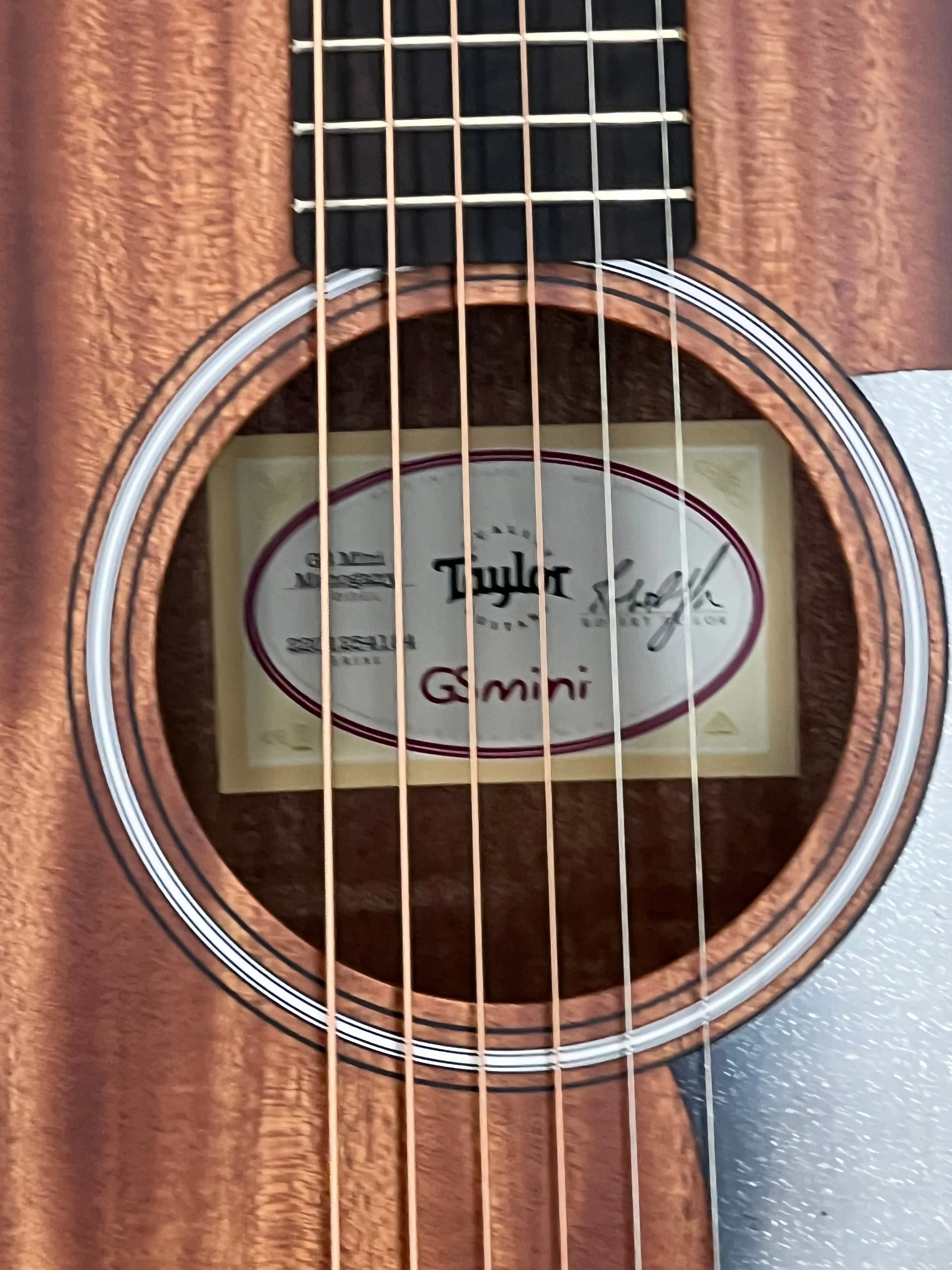 Taylor GS Mini Mahogany SN:2201254184