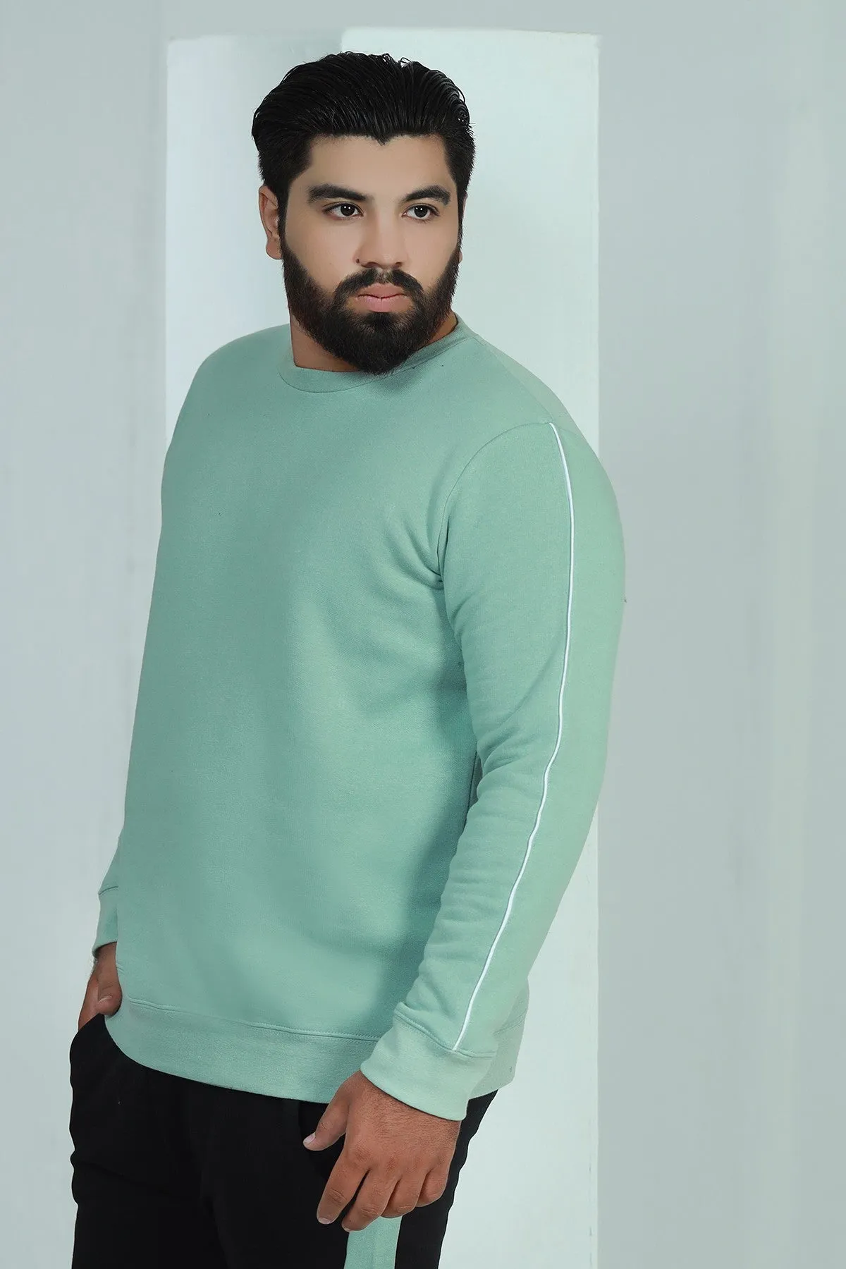 Tea Green Sweatshirt (Plus Size) - W21 - MSW009P